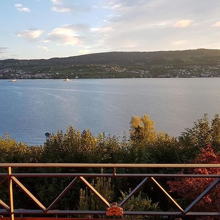 Nice Apartment In Horgen Near Lake And Pool 외부 사진