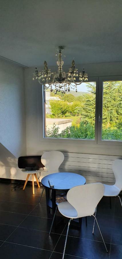 Nice Apartment In Horgen Near Lake And Pool 외부 사진